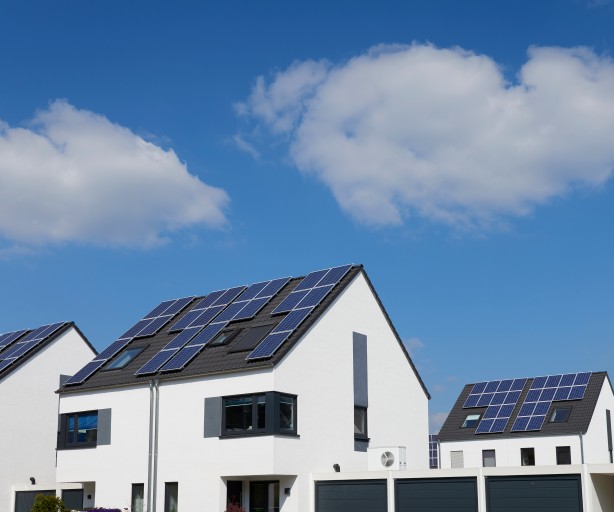 Vier weiße, moderne Einfamilienhäuser mit Solarpanelen auf dem Dach bei sonnigem Wetter.